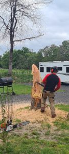 Bonchester Bridge Riverside Park Carving