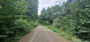 Hells Hole Bonchester Caravan & Camping