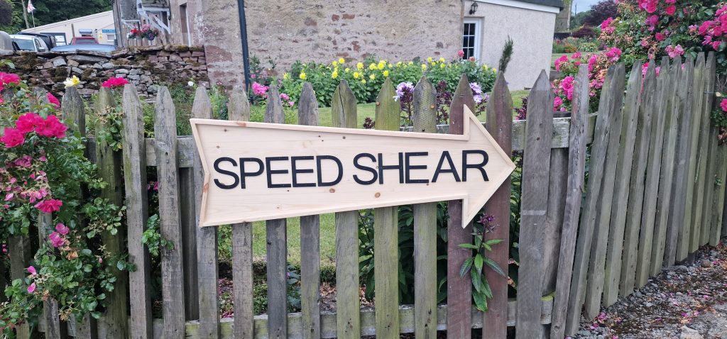 Bonchester Bridge Shearing Contest