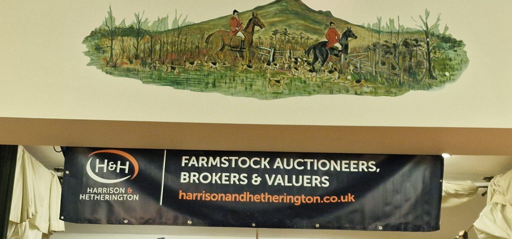 Bonchester Bridge Caravan & Camping Sheep Shear Contest