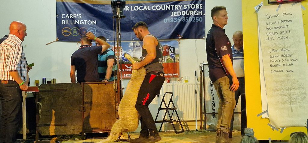 Bonchester Bridge Caravan & Camping Sheep Shear Contest