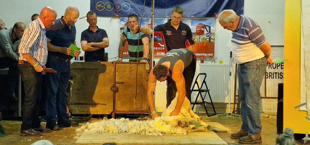 Bonchester Bridge Caravan & Camping Sheep Shear Contest