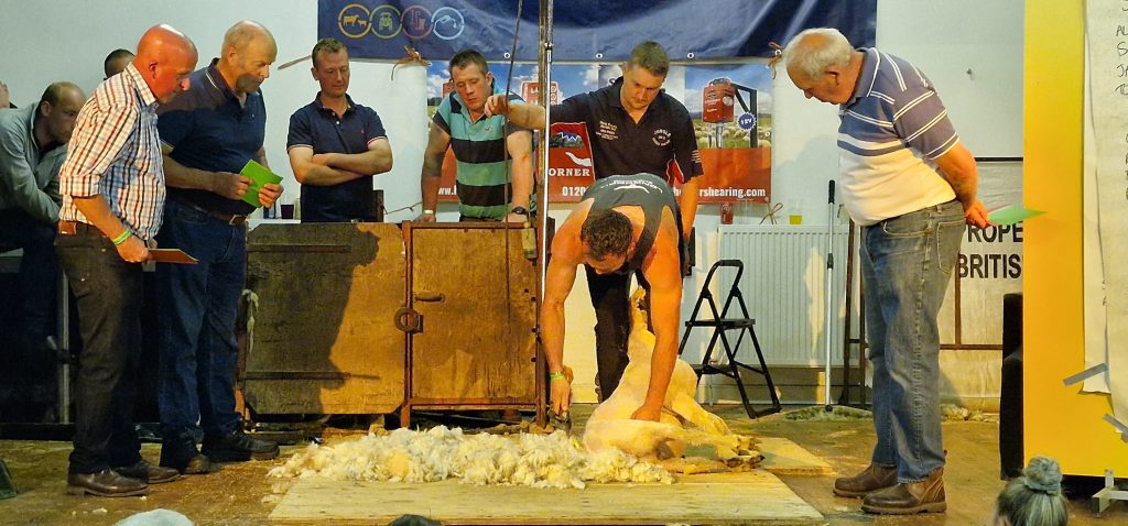 Bonchester Bridge Caravan & Camping Sheep Shear Contest