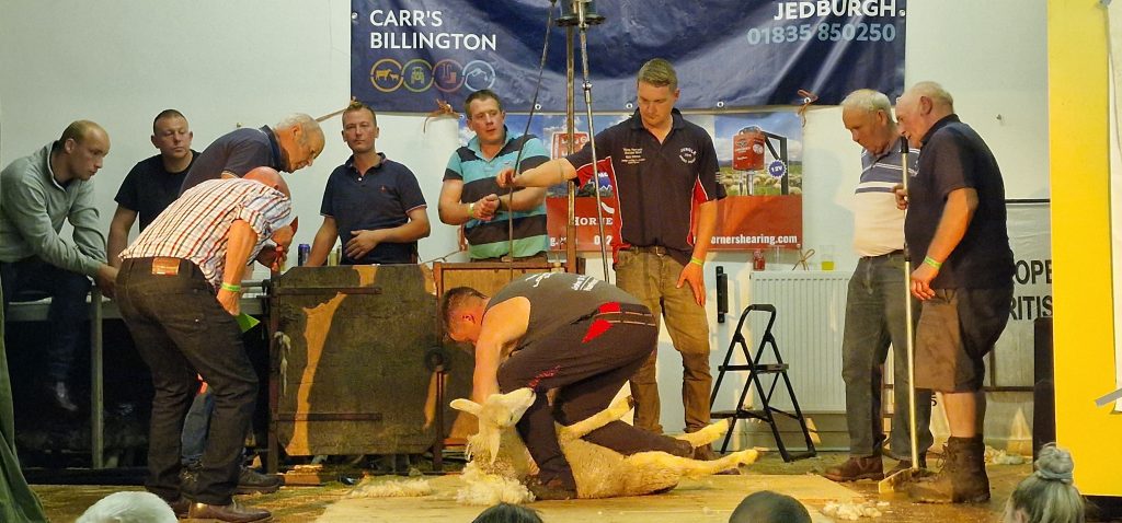 Bonchester Bridge Caravan & Camping Sheep Shear Contest