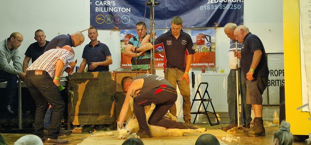 Bonchester Bridge Caravan & Camping Sheep Shear Contest