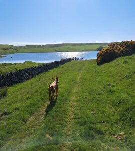 Water Sports Nearby Bonchester Bridge Caravan & Camping