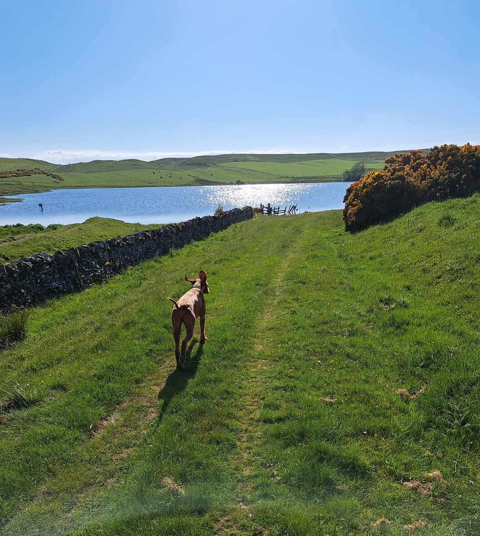 Water Sports Nearby Bonchester Bridge Caravan & Camping